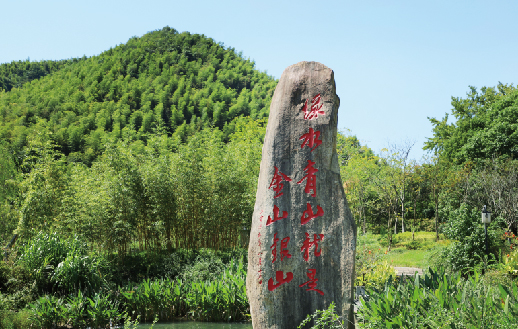 聚焦“雙碳” | 太陽成集團(tuán)tyc環(huán)境-新至雙碳林業(yè)碳匯項(xiàng)目落...